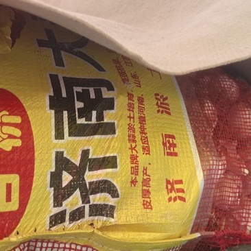 大青稞紫皮大蒜