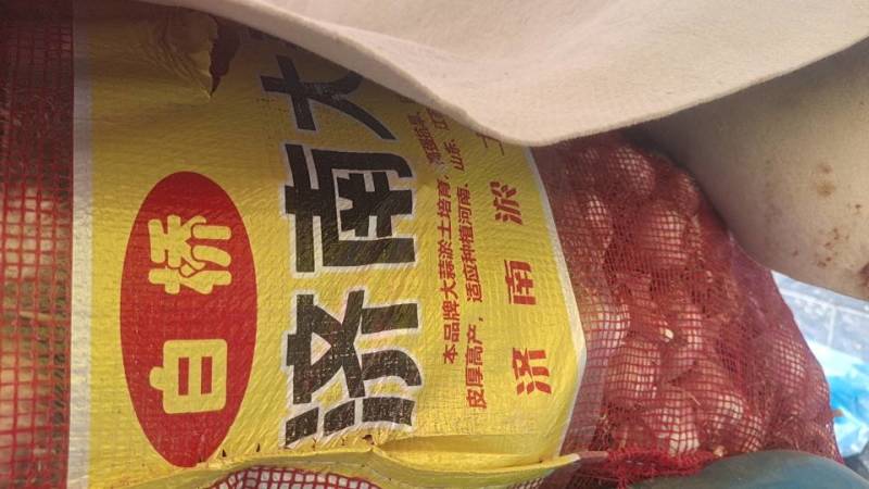 大青稞紫皮大蒜
