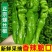 精品鲜辣椒螺丝椒大量供应，对接各大电商商超市场