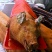 烧猪肉（猪壳）/厂家直销/日日新鲜/现烧快发/视频看货
