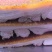 烧猪肉（猪壳）/厂家直销/日日新鲜/现烧快发/视频看货