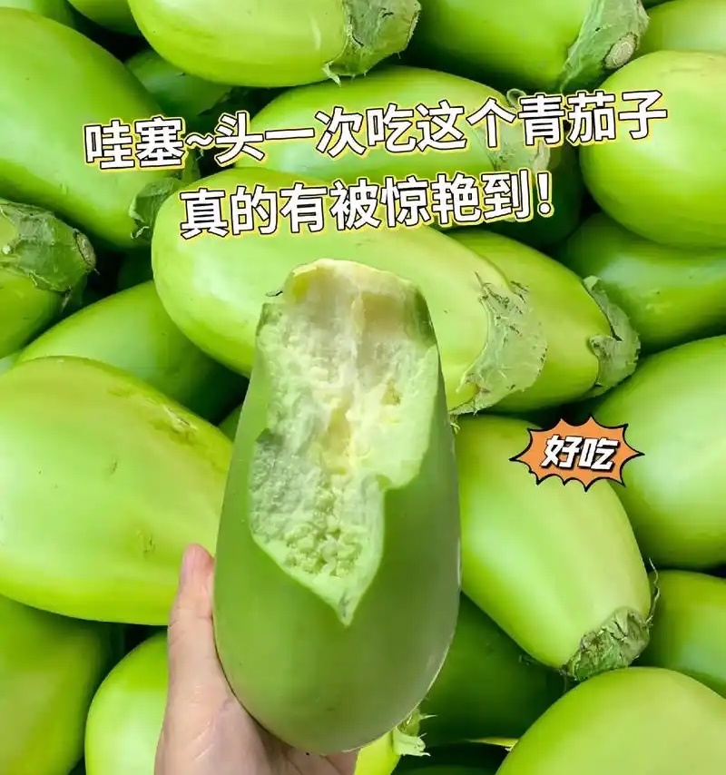 【青茄子】辽宁茄子&绿茄子/现摘现发/新鲜供应/代发全国