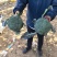 西兰花大量供应宁夏西兰花对接各大市场商超电商加工厂