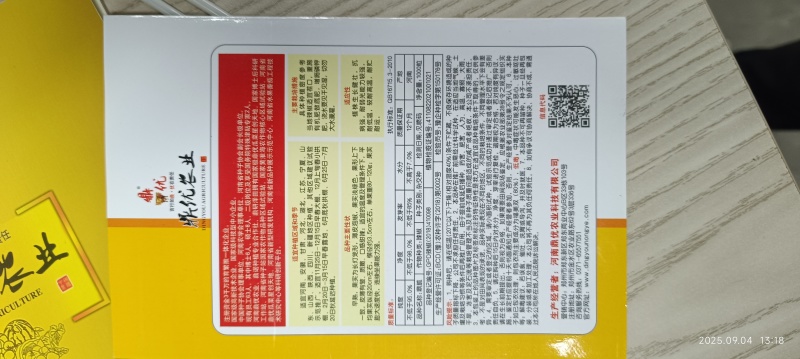 鼎脆辣椒种子高山越夏地区四川云南贵州湖北表现不错