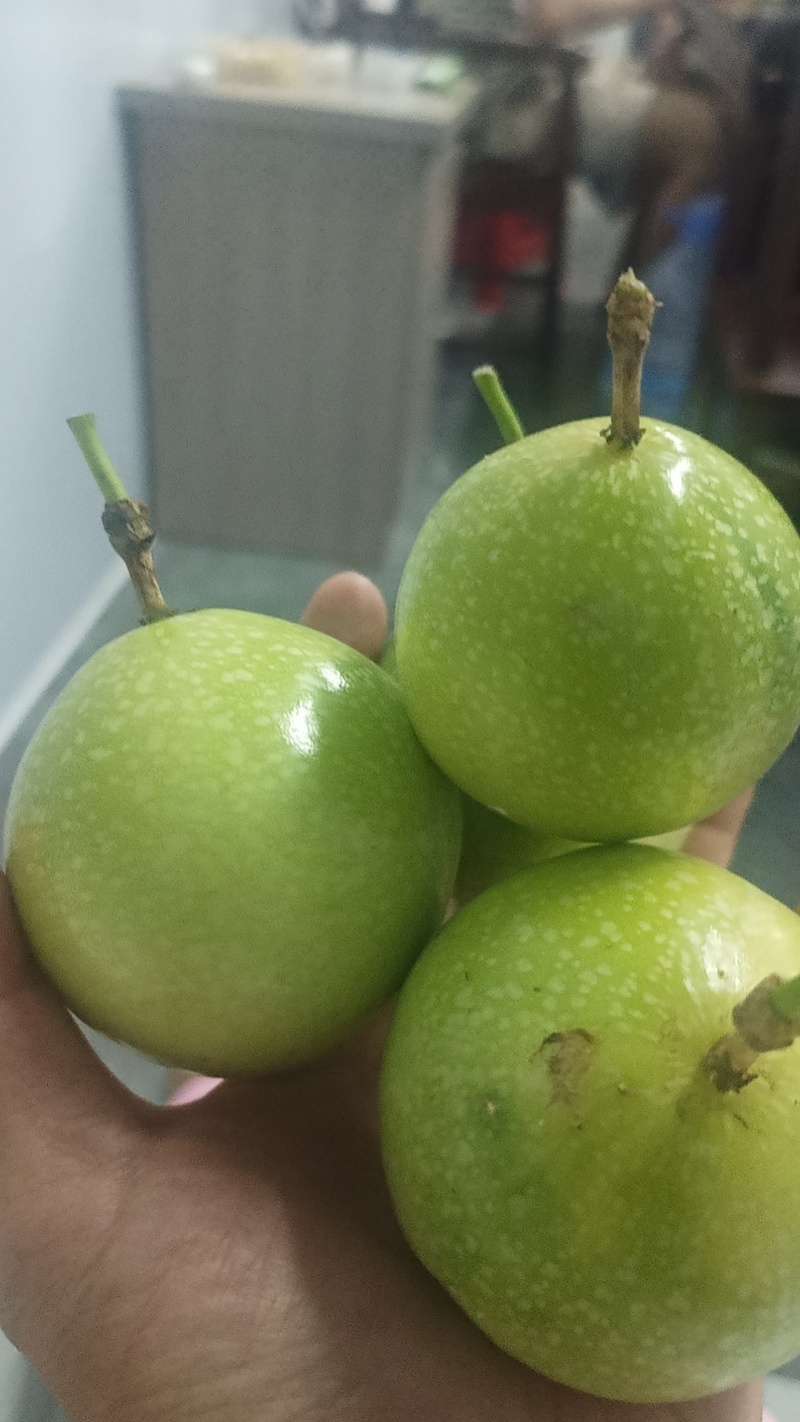 热带水果，钦密9号百香果，百香果，