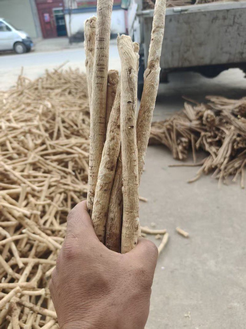 岷县中药材