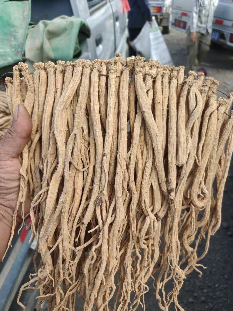 岷县中药材