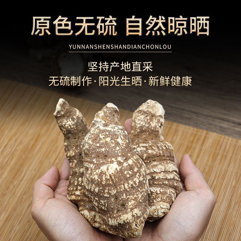 正宗云南重楼诚信经营中药材合作共赢产地直销