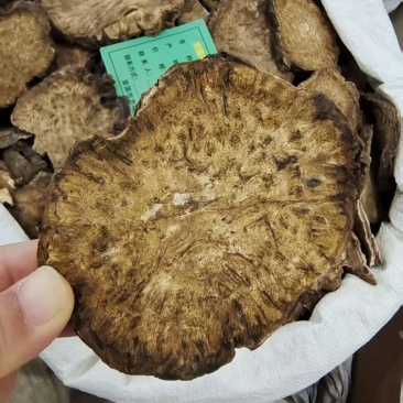大黄各种规格选货2斤包邮量大优惠