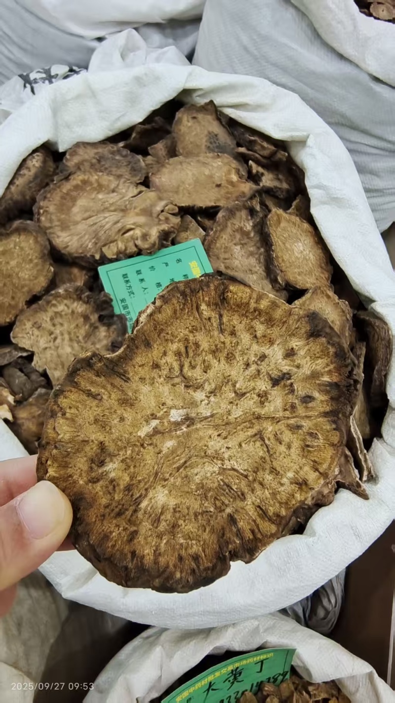 大黄各种规格选货2斤包邮量大优惠