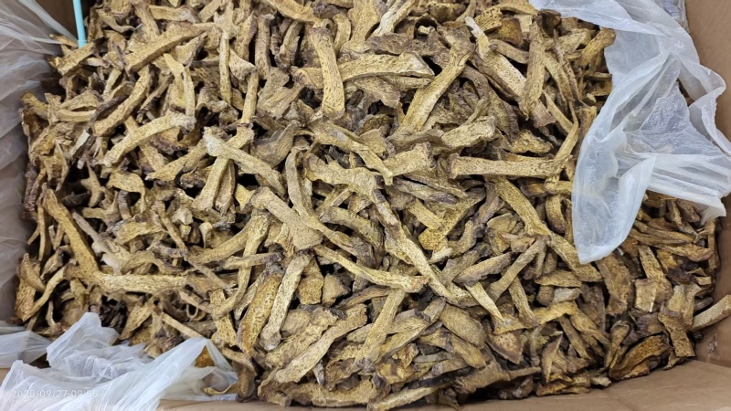 大黄各种规格选货2斤包邮量大优惠