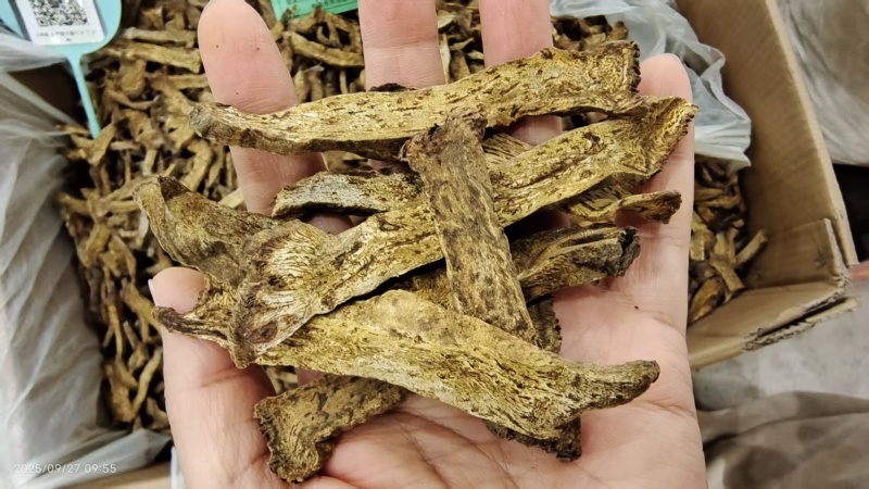 大黄各种规格选货2斤包邮量大优惠