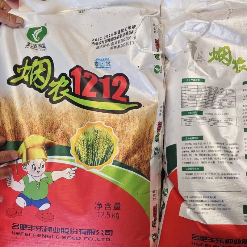 烟农1212小麦原种小麦种子高产大穗白麦抗病抗冻早熟原种