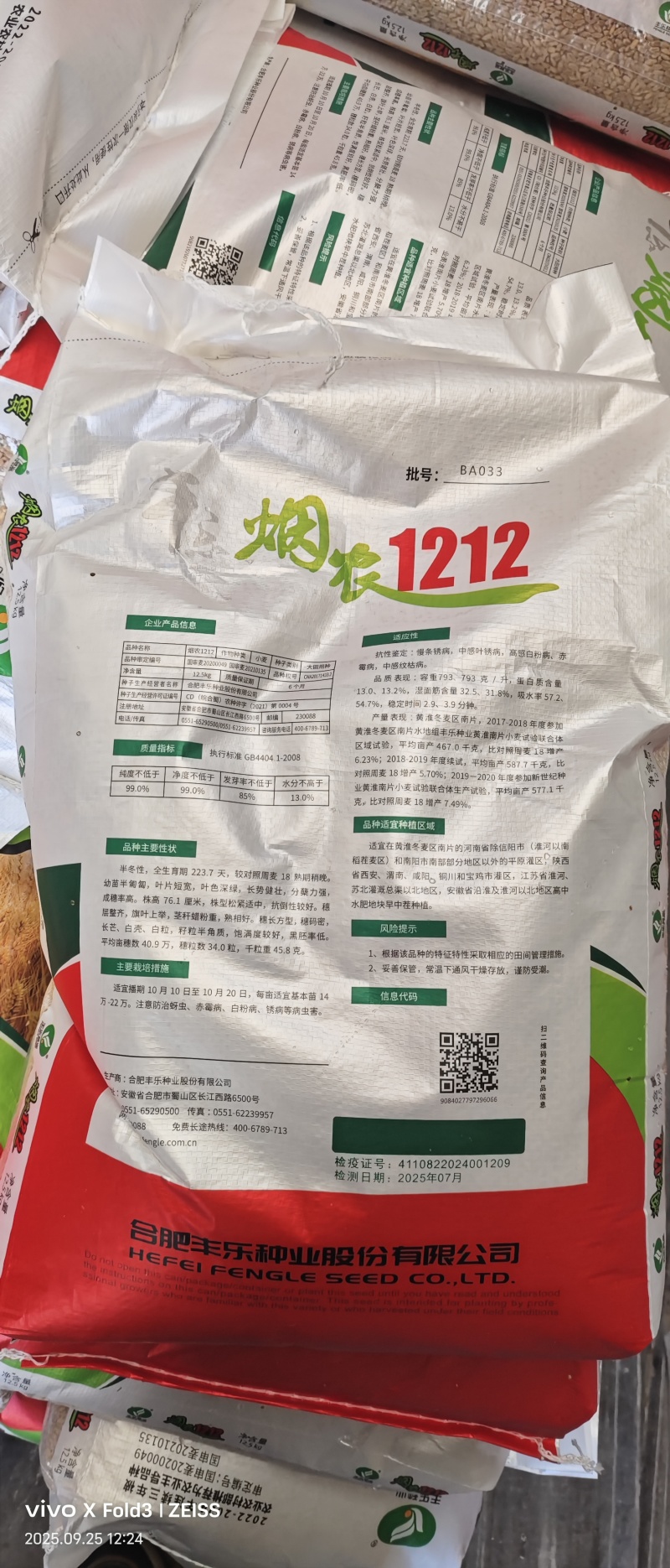 烟农1212小麦原种小麦种子高产大穗白麦抗病抗冻早熟原种
