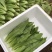【油麦菜】辽宁叶菜/可打捆现场挑选视频看货/一条龙服务