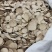 三棱浙江选货切片含量足2斤包邮量大优惠