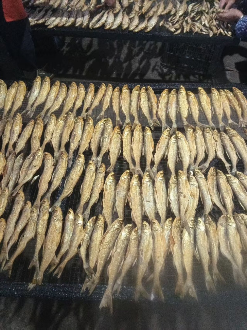 精选翘嘴鱼，手工制作鱼干，咸香可口