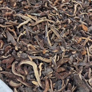 骨碎补地道药材2斤包邮量大优惠