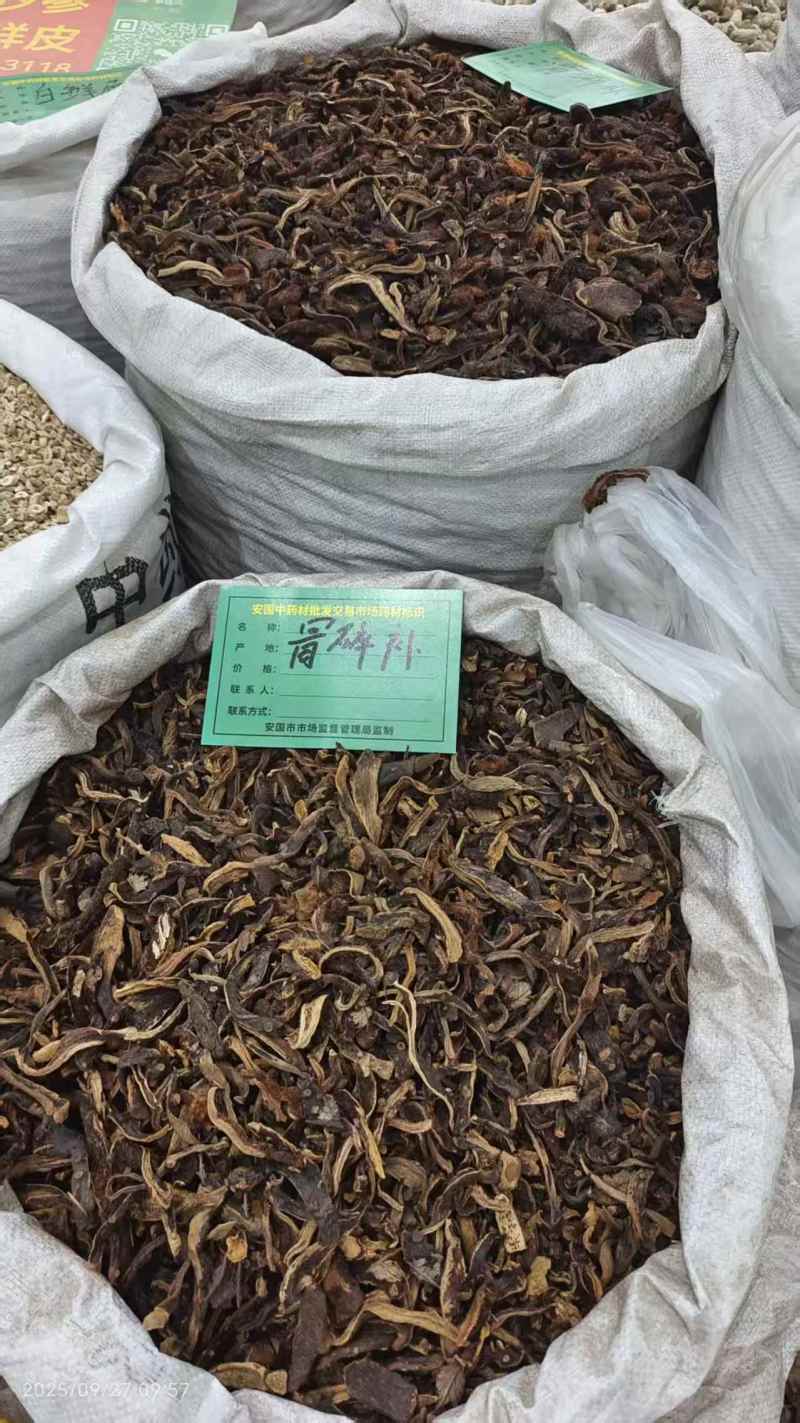 骨碎补地道药材2斤包邮量大优惠