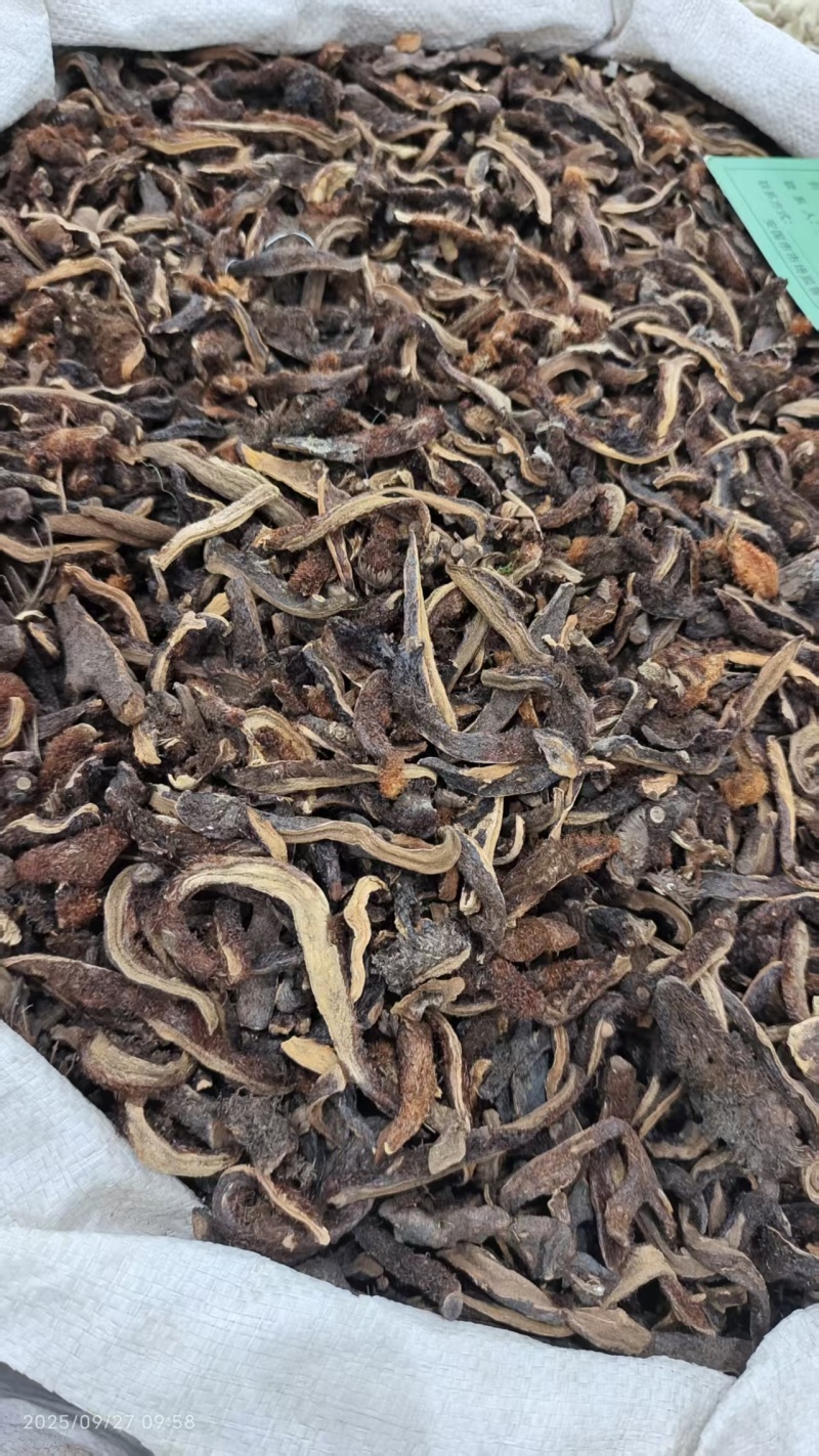 骨碎补地道药材2斤包邮量大优惠