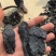 地黄(熟地)河南2斤包邮量大从优各种规格