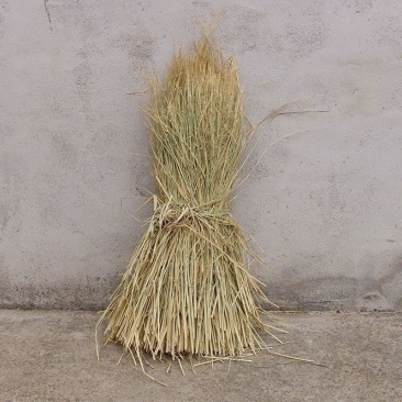 天然干稻草人工整理稻草宠物稻草