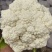 散花松花菜大量上市产地直发量大价格可谈