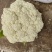 散花松花菜大量上市产地直发量大价格可谈