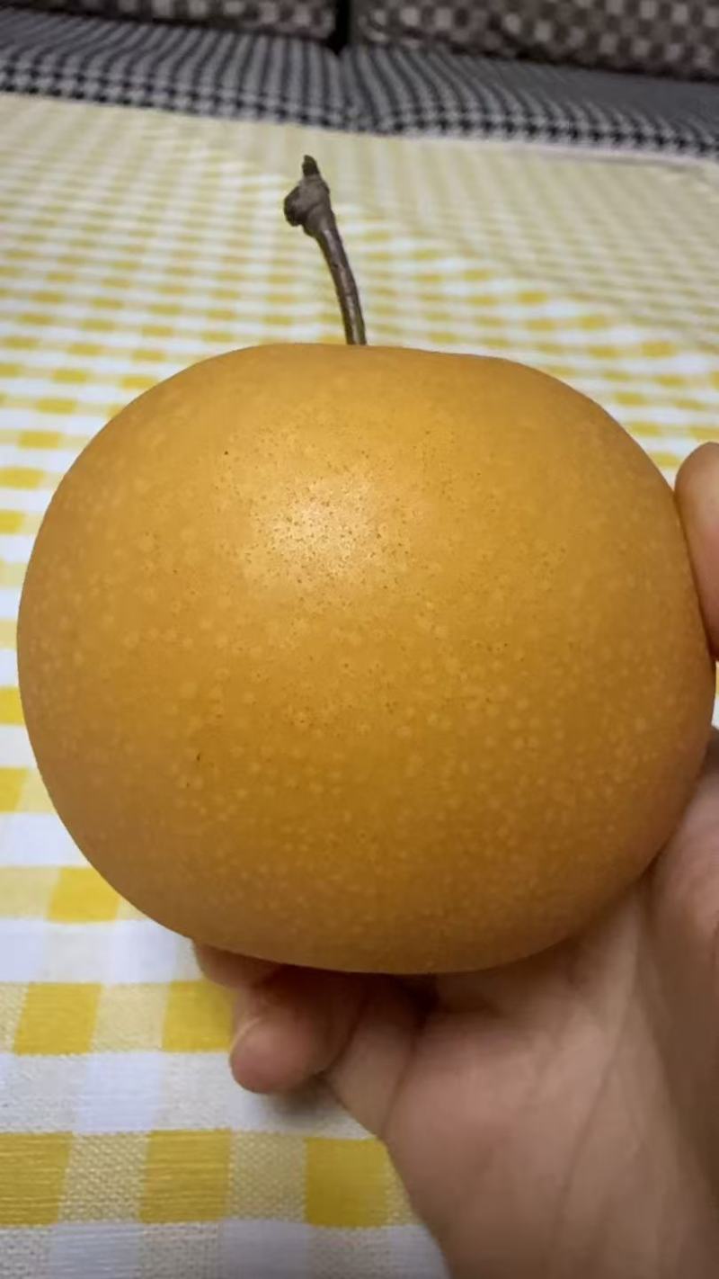 正宗秋月梨，无木栓，原装袋，新鲜现摘，脆甜多汁，质量保证