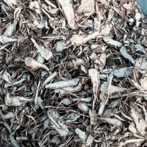 当归片甘肃当归片精品当归片规格齐全量大从优，全年发货
