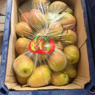 精品红香酥