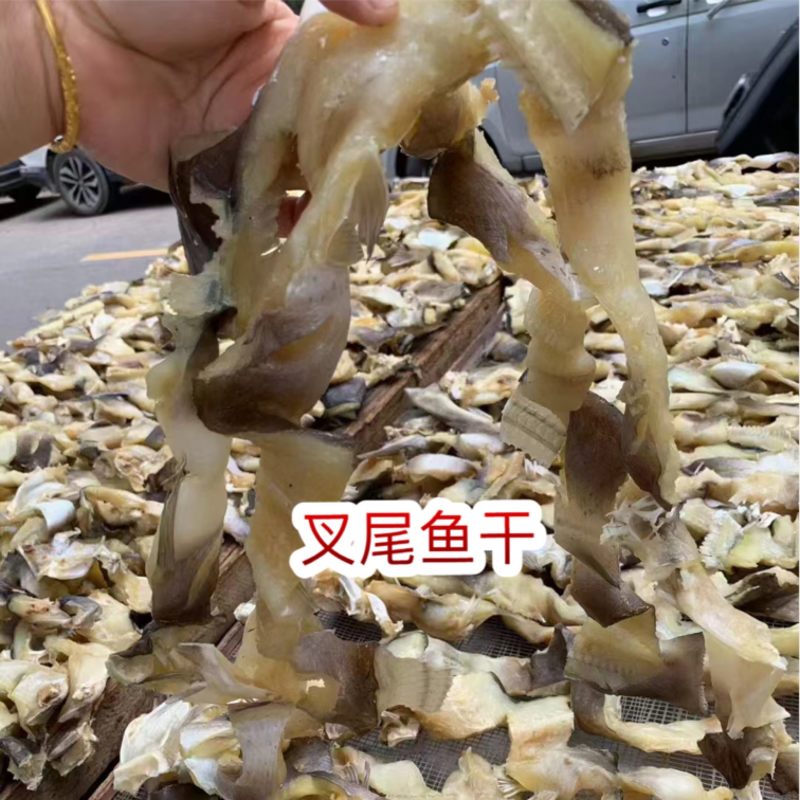 叉尾鱼干展会地摊电商叉尾鮰鱼叉尾鱼干干鱼