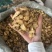 防风防风过筛保庆药业批发防风实物拍摄新货防风