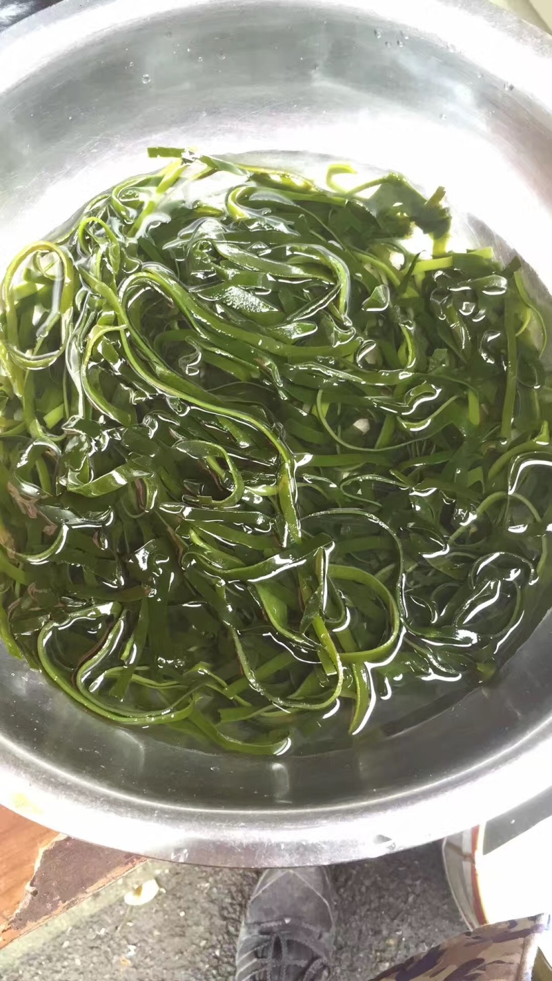 无盐干海带丝免洗烘干圆饼海带丝商用无沙特厚非压缩海带丝