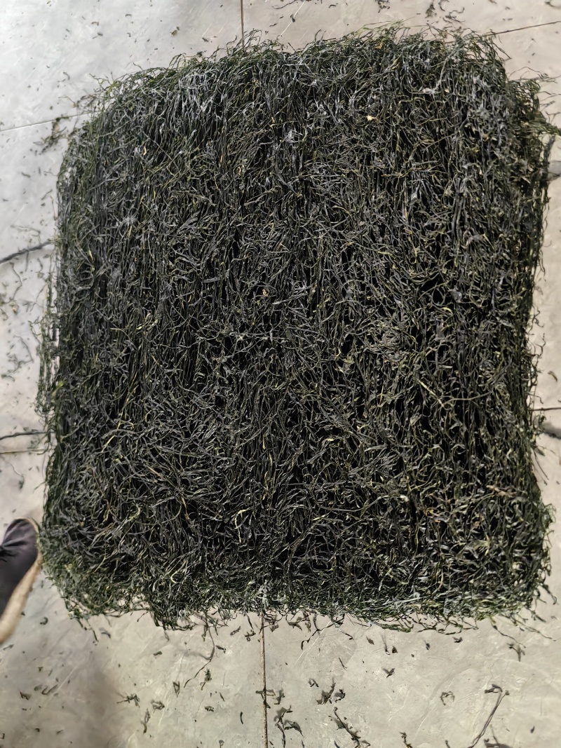 无盐干海带丝免洗烘干圆饼海带丝商用无沙特厚非压缩海带丝