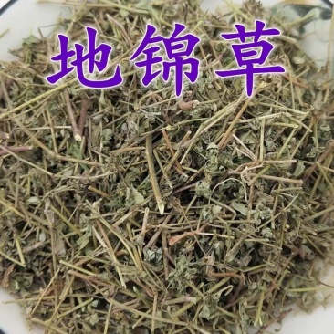 地锦草1公斤中药材别名草血竭血见愁奶汁草铺地锦