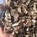 野生杨树蘑地扣土豆蘑新货切片水洗蘑菇一手充足货源