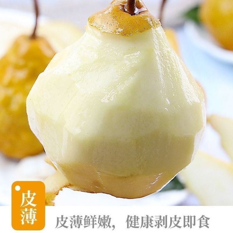 精品丑梨烟台产地直供大量上市，品质保证价格优惠欢迎来电