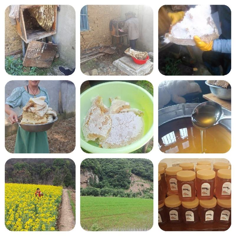 自家野生蜂蜜假一赔十