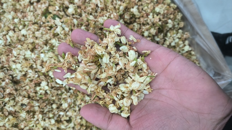 茉莉花茉莉花茶无硫新货香气十足质量保证批发零售