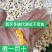 茯苓无硫质量保证诚信经营量大从优欢迎咨询选购……