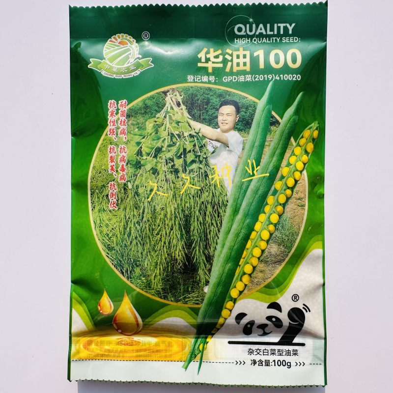 华油100油菜种子白菜型油菜籽半冬型白菜型油菜抗病耐寒