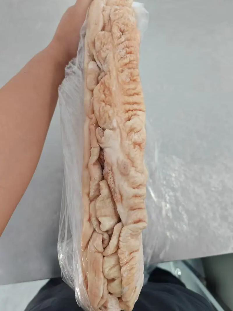 猪大肠，干货无水，常年有货大量供应
