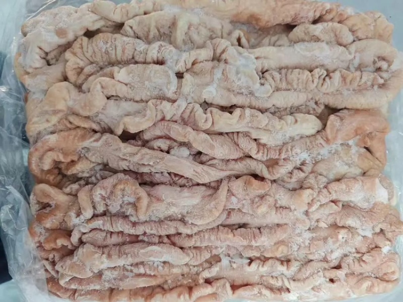 猪大肠，干货无水，常年有货大量供应