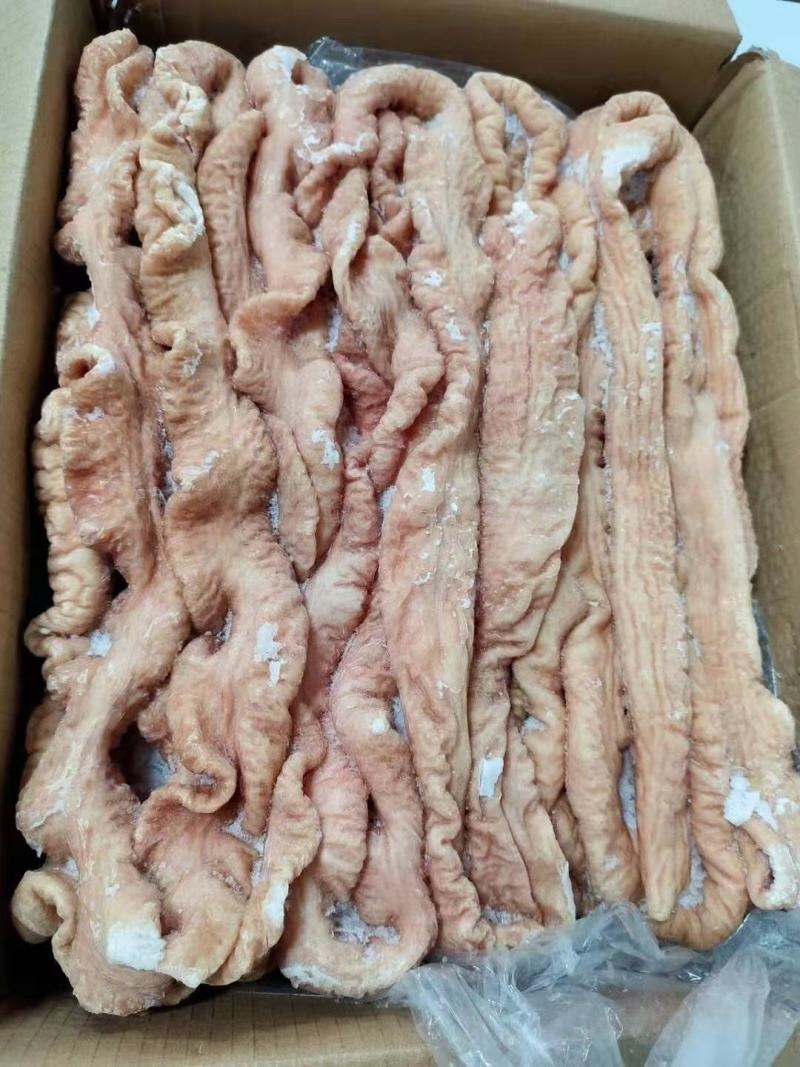 猪大肠，干货无水，常年有货大量供应
