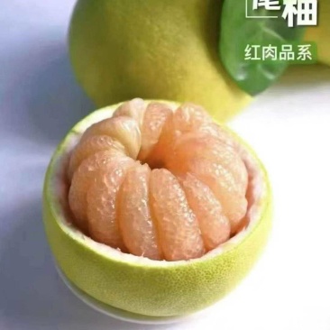 度尾红心文旦柚，精品果，次果