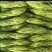 霸王花