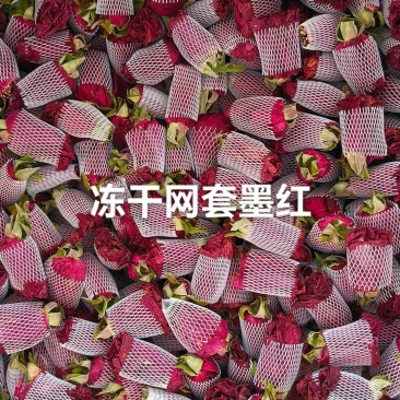 网套冻干墨红玫瑰云南原产农科精选YTYTYT78