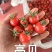 山东圣女果/寿光千禧圣女果/品种规格齐全/一件代发便宜