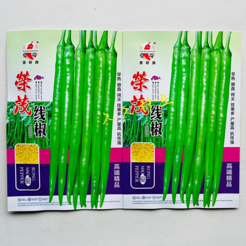 荣茂线椒种子早熟顺直高产辣椒种子高产抗病辣味香浓基地专用